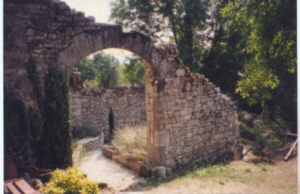 garden.jpg